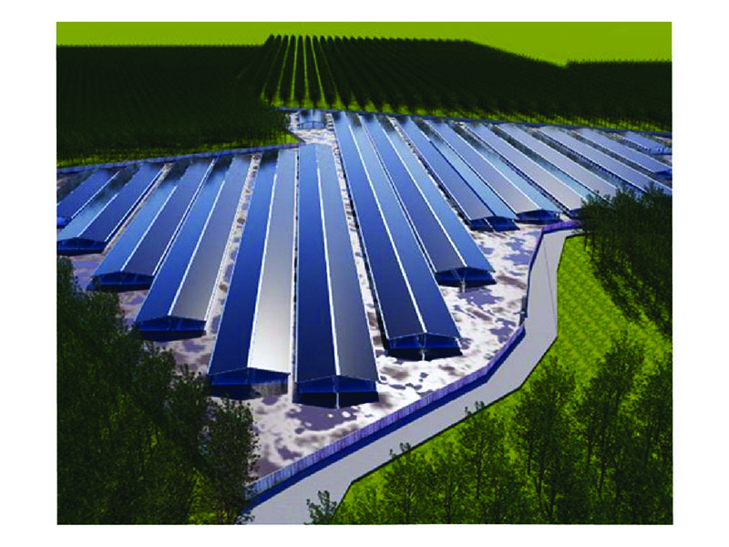 solar-trai-nam-dau-tieng