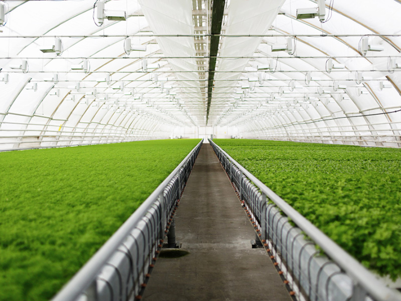 pre-engineered steel buildings in agriculture