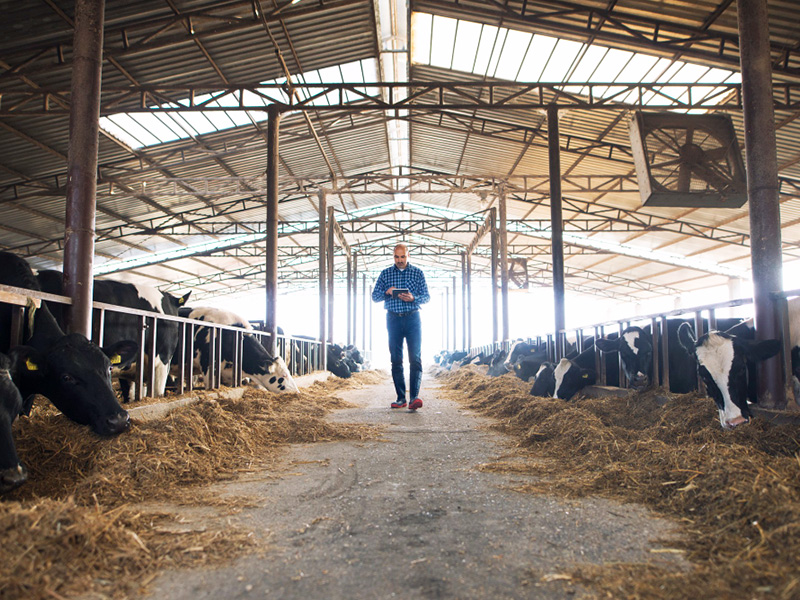 pre-engineered steel buildings in agriculture
